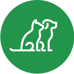 Karuna Animal Welfare Association