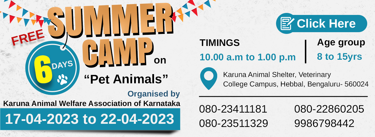 karuna-home-page-banner-8-4-23-summer-camp